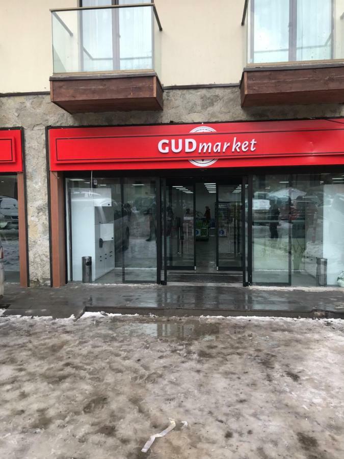 New Gudauri Loft 2,Apart 106 المظهر الخارجي الصورة